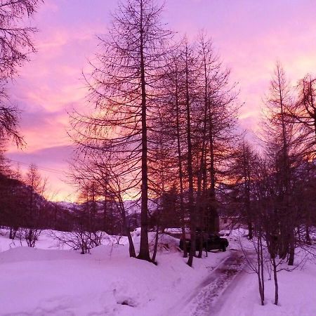 Chalet Miel De La Cayolle-Estenc アントローヌ エクステリア 写真