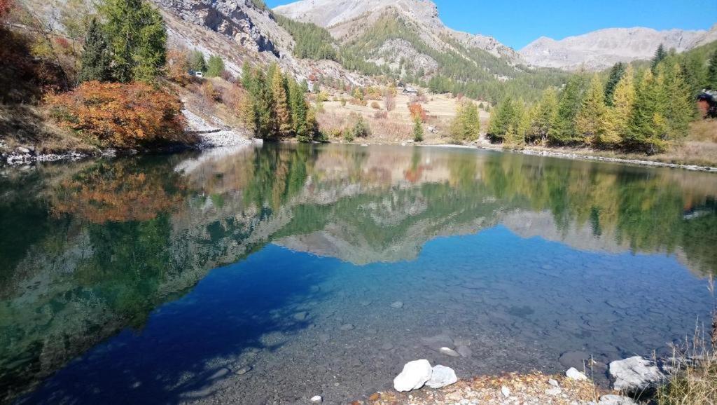 Chalet Miel De La Cayolle-Estenc アントローヌ エクステリア 写真