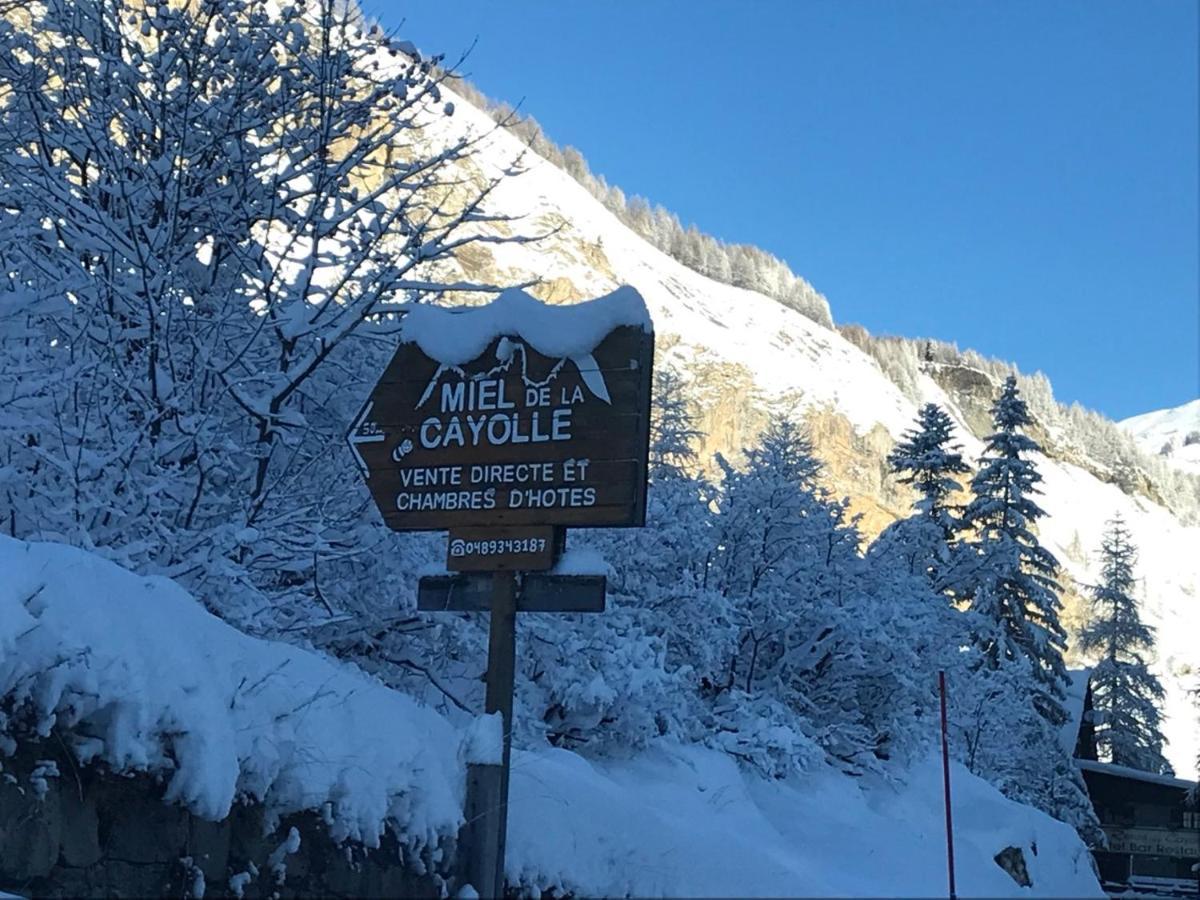 Chalet Miel De La Cayolle-Estenc アントローヌ エクステリア 写真