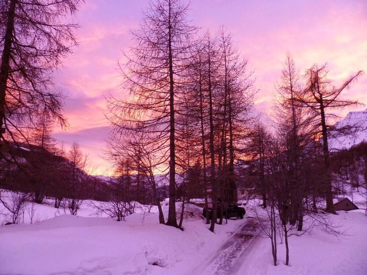 Chalet Miel De La Cayolle-Estenc アントローヌ エクステリア 写真