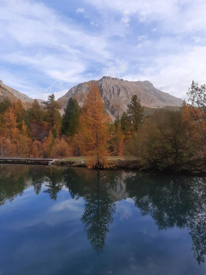 Chalet Miel De La Cayolle-Estenc アントローヌ エクステリア 写真